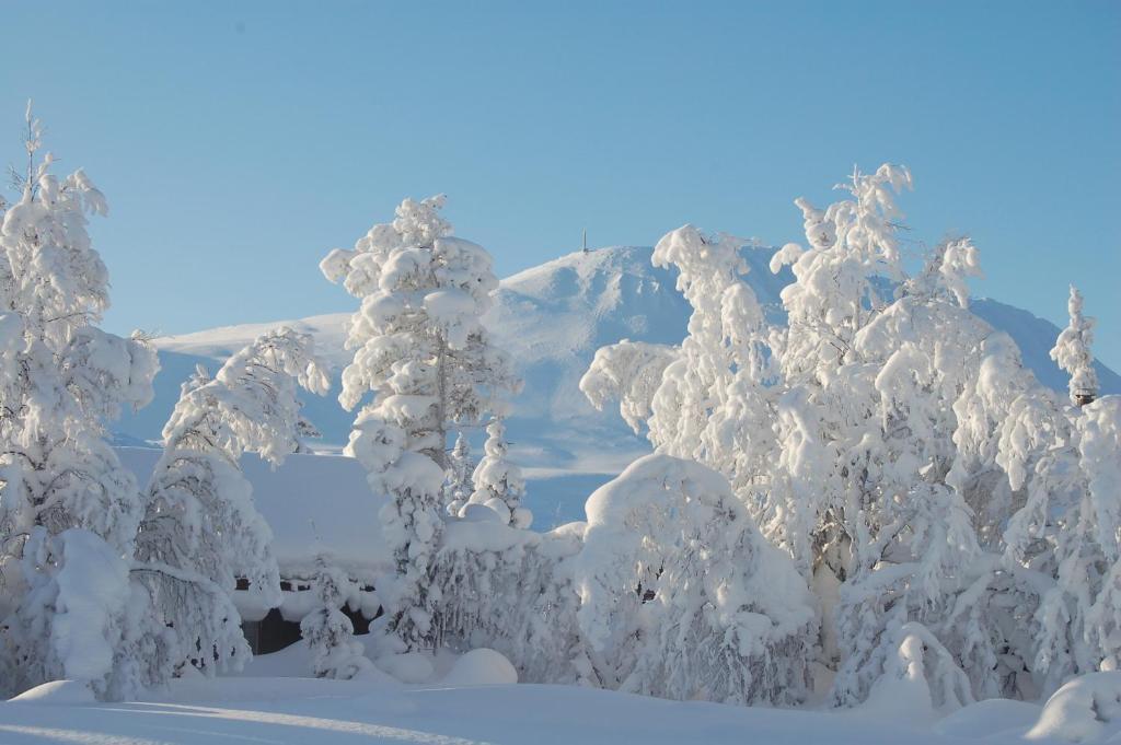 Kvitavatn Fjellhytter Villa Rjukan Ngoại thất bức ảnh